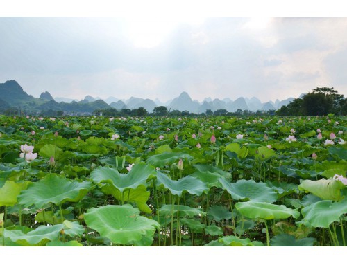 这样的价格大家说便宜吗，最值得期待的全尺寸suv来了